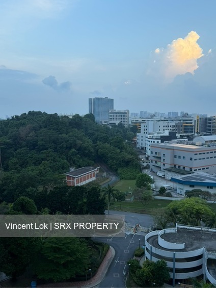 Blk 291A Bukit Batok Street 24 (Bukit Batok), HDB 4 Rooms #603606631